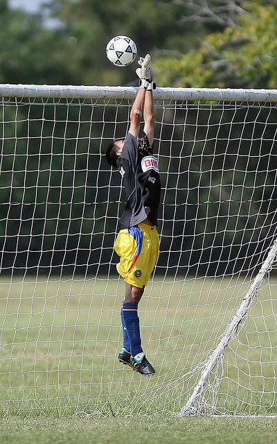 以便讓球迷 以便讓球迷