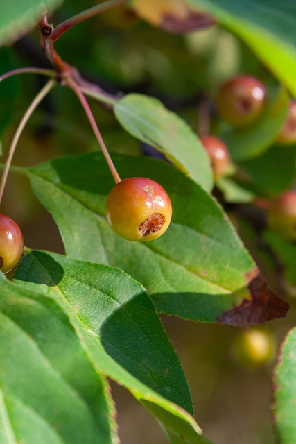 位和精准传 位和精准传