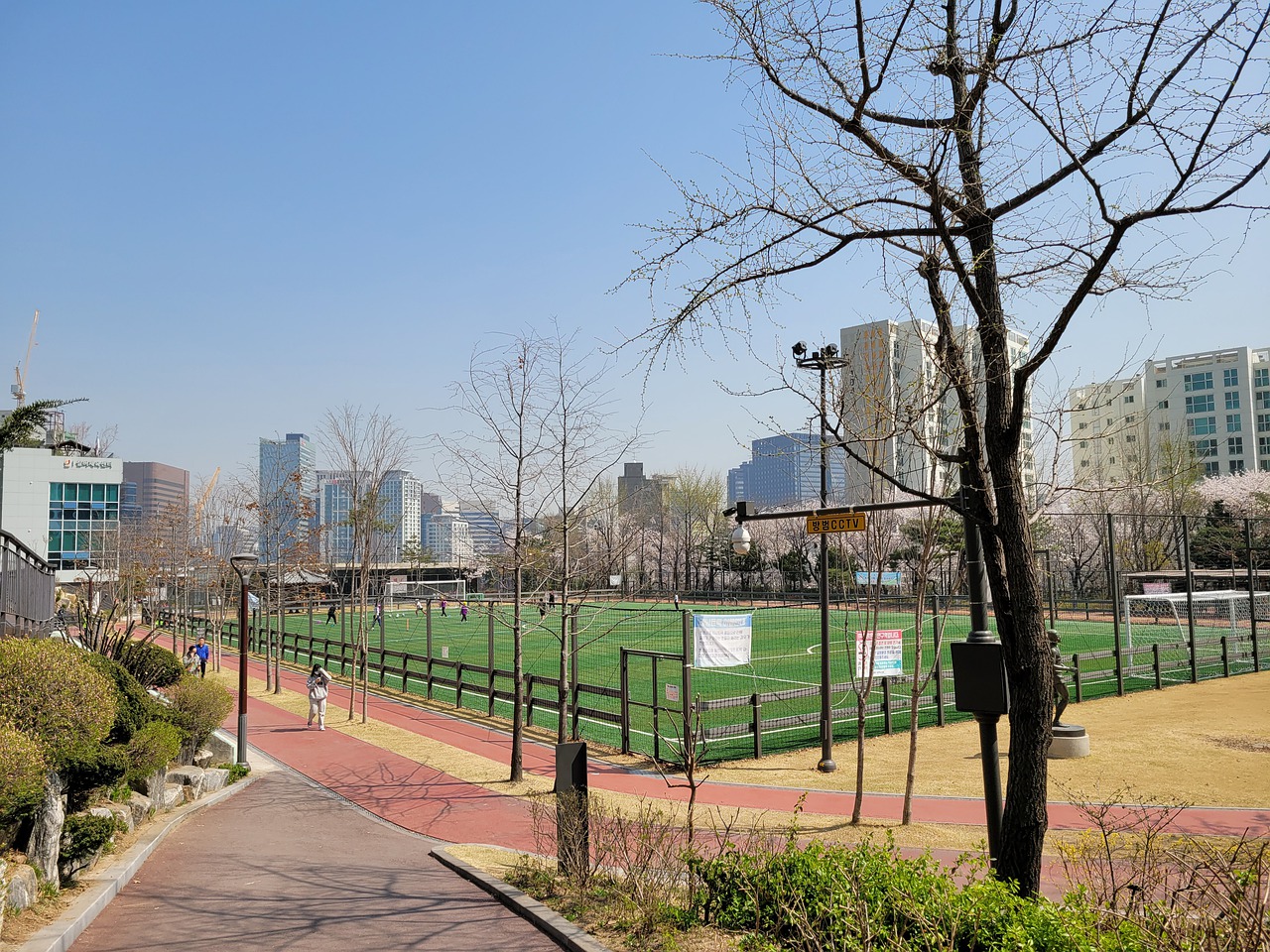 多球迷的眼 多球迷的眼