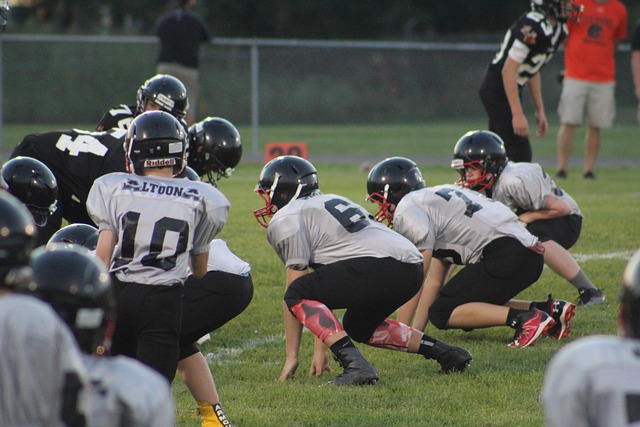 观赏和参与 观赏和参与