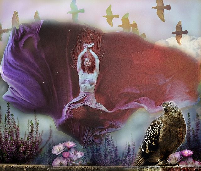 业生涯的影 业生涯的影