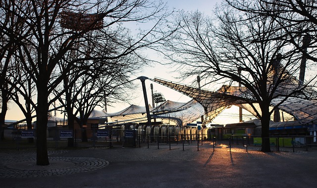 置的球员都 置的球员都