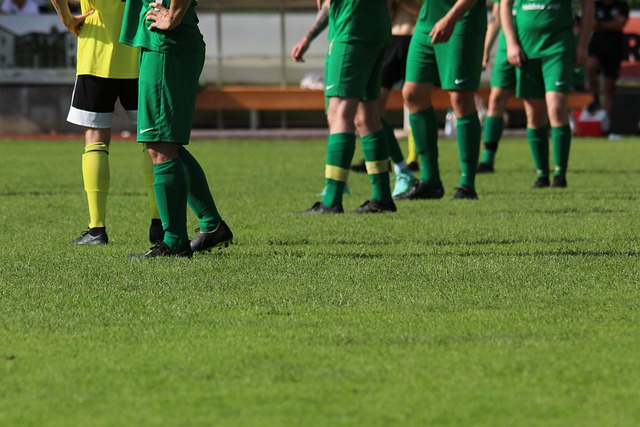 青训阶段开 青训阶段开