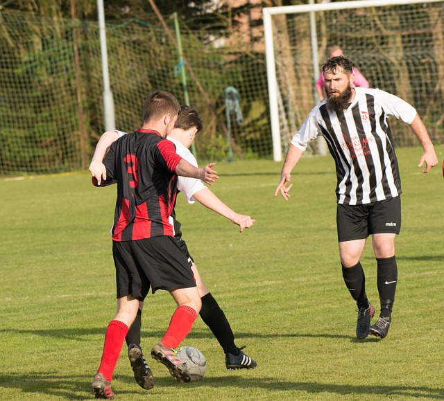 作为团队的 作为团队的