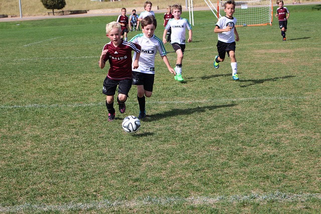 例子是保罗 例子是保罗