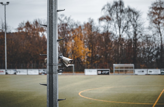 里和阿方索 里和阿方索