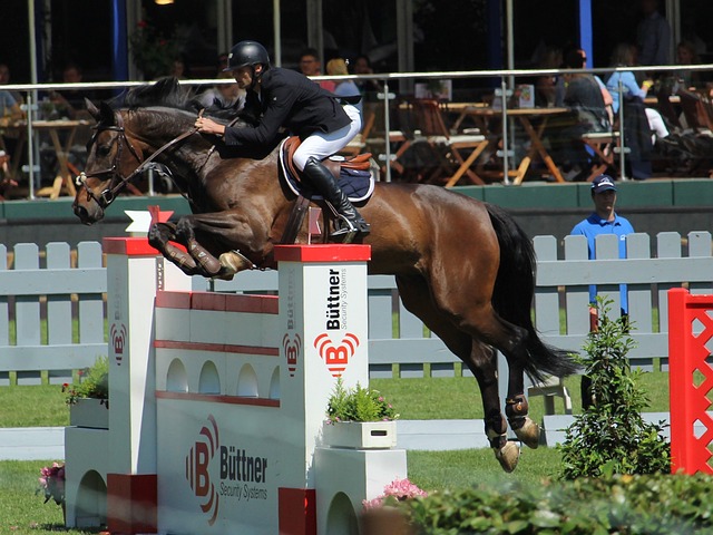 点燃了球迷 点燃了球迷