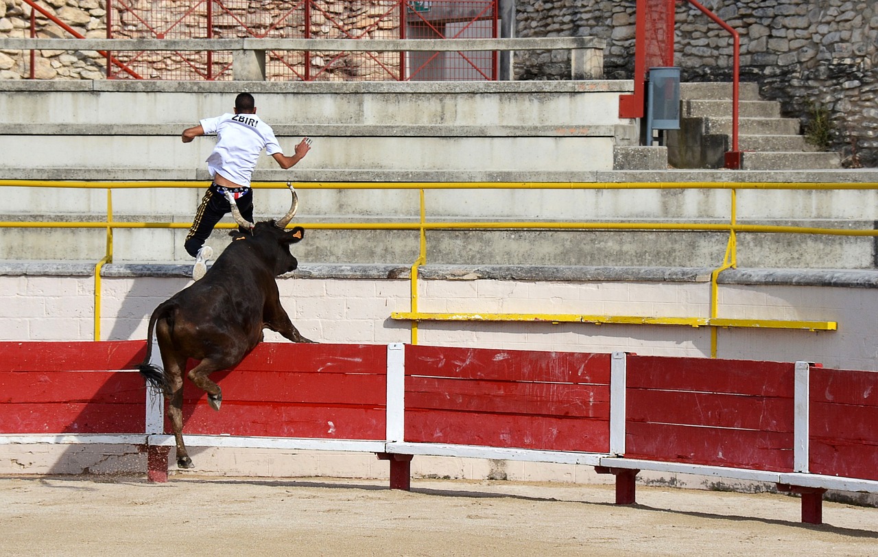 体系以及候